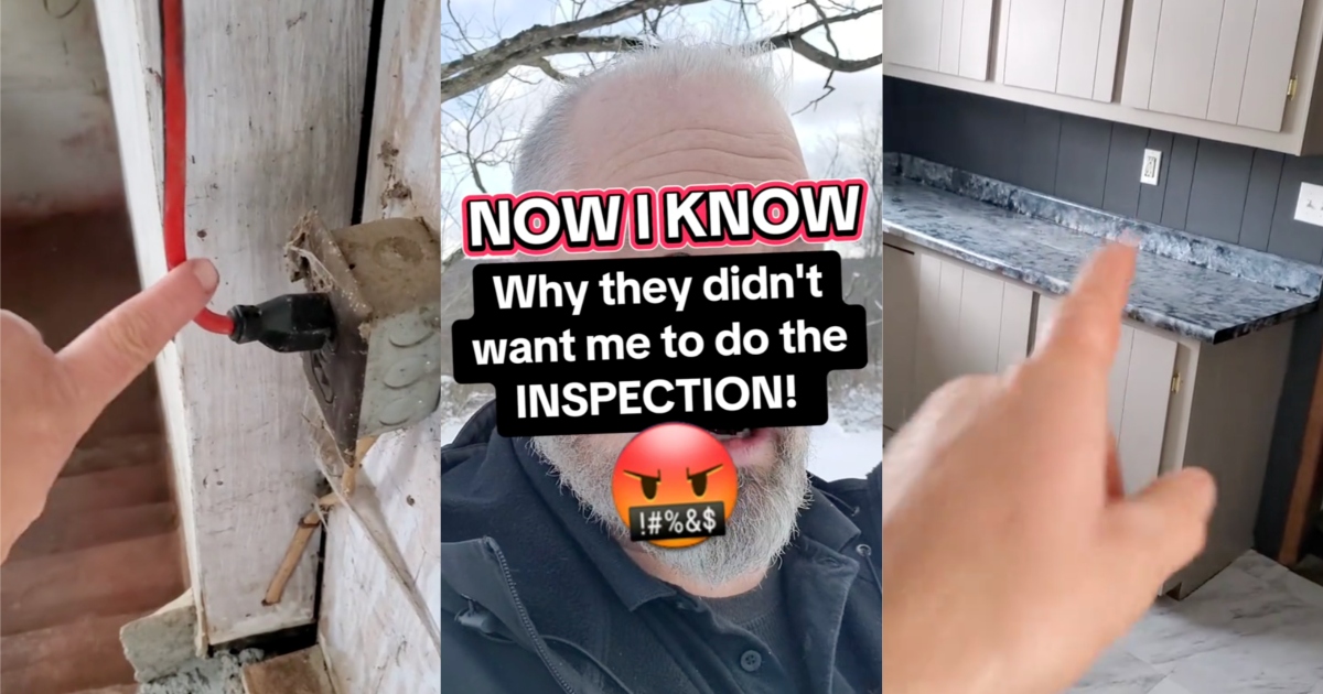 Home Inspector Shares The Horrible Conditions He Found When He Checked Out A House » TwistedSifter