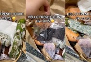 ‘The police are on their way.’ – HelloFresh Customer Said The Food She Had Delivered To Her House Was Moldy