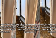 Homeowner Showed A Hack For Getting Rid Of Mold In Refrigerators