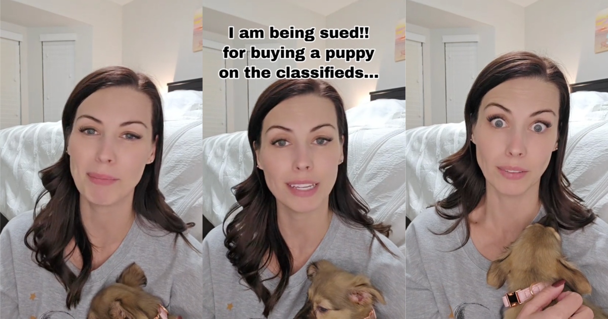 This Mom Said Things Got Really Weird With A Seller After She Bought A Puppy For Her Kids. – ‘Give you your puppy? I’m not giving you my puppy.’ » TwistedSifter