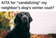 Neighbors Find It Hard To See A Black Dog At Night And Almost Hit It Numerous Times, So One Neighbor Takes Action But Isn’t Prepared For The Dog Owner’s Reaction