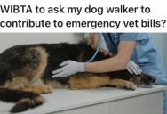 Dog Owner Hires A Walker To Watch His Dog While He’s At Work, But When His Pet Suddenly Gets Sick He Discovers What It Had Eaten