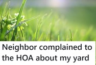 Grumpy Neighbor Kept Complaining To The HOA About The Grass In His Yard, So He Found An Ingenious Solution That Ruined Her Yard