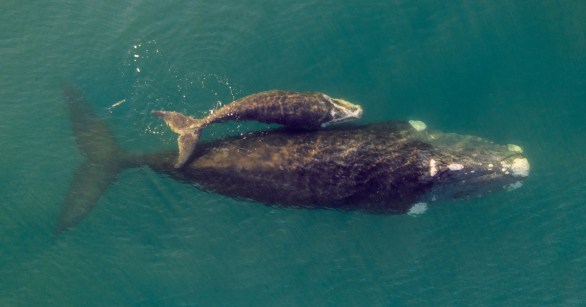 Source: Shutterstock