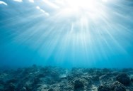 Scientists Exploring Deep Sea Volcanoes Discover Life That Exists Beyond The Limits We Ever Thought Possible