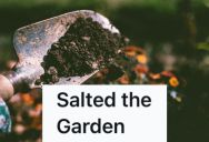 His Dad’s Girlfriend Is Really Mean To Him, So He Salted Her Garden Until They Broke Up