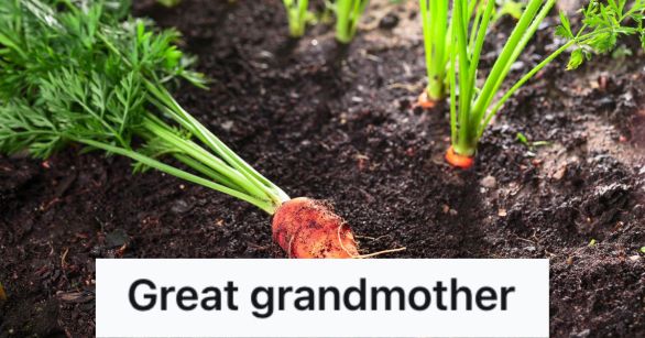 Source: Reddit/PettyRevenge/Canva