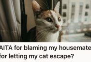 His Cat Got Out During His Roommate’s Party, And He’s Blaming Him For The Great Escape