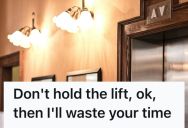 She Tried To Make An Elevator, But The Passenger Inside Closed The Doors. So She Held Up The Elevator On Her Floor And Wasted Their Time.