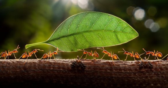 Source: Shutterstock