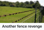 Neighbor Refused To Share The Fence Costs, So A Homeowner Took Every Post And Wire With Them When They Moved