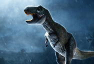 It Turns Out Dinosaurs Didn’t Technically Go Extinct Millions Of Years Ago