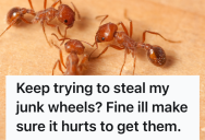 A Thief Tried To Steal Junk Wheels From A Yard, But He Got A Painful Lesson From A Fire Ant Hill Instead