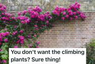 Mom Gets Permission From Neighbor To Add Wires To Grow Taller Plants In Her Garden, But When The Neighbor Passes The New Homeowner Wants Them All Gone