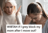 Her Mom Is Making Terrible Life Decisions, So She Told Her She’s Going To Move Out As Soon As She Can Save The Money. It Predictably Did Not Go Over Well.