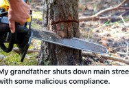 Town Officials Said He Had To Remove Large Trees From His Property, So He Cut Them Down And Left Them In The Middle Of The Street