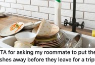 Their Dirty Roommate Won’t Clean Up After Themselves, So They Told Them To Put Away Their Dirty Dishes Before They Went On A Trip