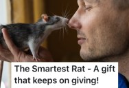 He Didn’t Like His College Roommate, So He Trained The Guy’s Pet Rat To Annoy Him To No End