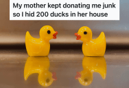 He Wishes His Mother Would Stop Giving Him Boxes Of Junk, So He Decides To Hide 200 Plastic Ducks All Over Her House