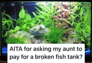 Aunt’s Rowdy Kids Broke Her Expensive Fish Tank, So She Asked Her To Buy A New One Which Made Her Furious