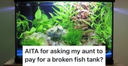 Aunt s Rowdy Kids Broke Her Expensive Fish Tank So She Asked Her To 