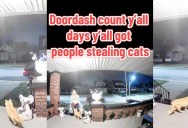 A DoorDash Driver Stole This Customer’s Cat And She’s Revealing It All Online