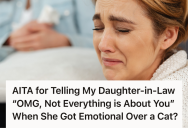 A Lighthearted Story About A Beloved Cat Turned Tense When Daughter-in-Law Started Crying, So Fed-Up Parent Confronts Her For Being Too Emotional