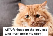 Cat Is Helping Her 18-Year-Old Owner Through Some Mental Struggles, But It’s Making His Stepdad Jealous And His Behavior Is Threatening Everyone’s Happiness