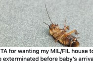 Grossed Out By The Bug Situation In Her In-Laws’ Home, Woman Takes Matters Into Her Own Hands. But Now Her Partner Is Mad And It’s Threatening Everything