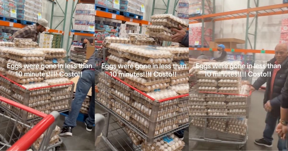 Costco Shopper Watches In Disbelief As New Eggs Were Gone In Less Than 10 Minutes. – ‘Have you ever seen this before?’