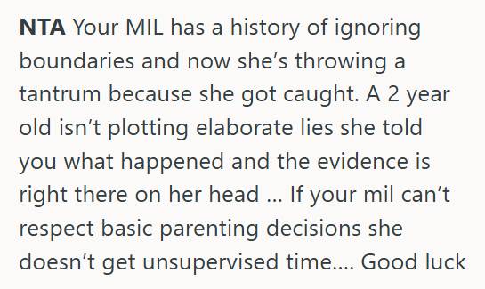 Mad MIL 1 Mother In Law Ignores Parents’ Wishes And Secretly Cuts Toddler’s Hair Without Permission, So They Decide To Go No Contact And She Freaks Out