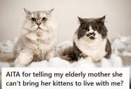 His Elderly Mother Moves Back In After A Breakup, But When She Insists On Bringing Her New Kittens, He Refuses And She Says He’s Denying Her Happiness