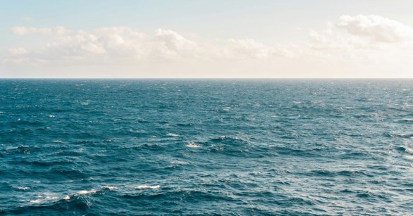 Source: Pexels/Kellie Churchman