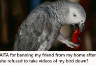 Friend Secretly Uploads Videos Of Woman’s African Grey Parrot Singing, And Then Refuses To Take Them Down So She Bans Her From The House Indefinitely