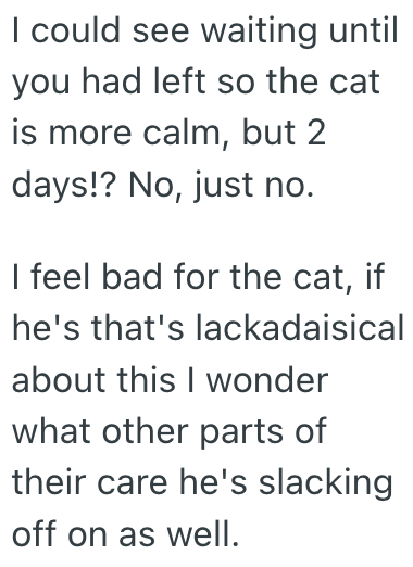 Screenshot 2025 02 19 at 1.48.50%E2%80%AFPM Her Boyfriend Refused To Clean Up His Cats Mess, So She Felt Like Dumping Him