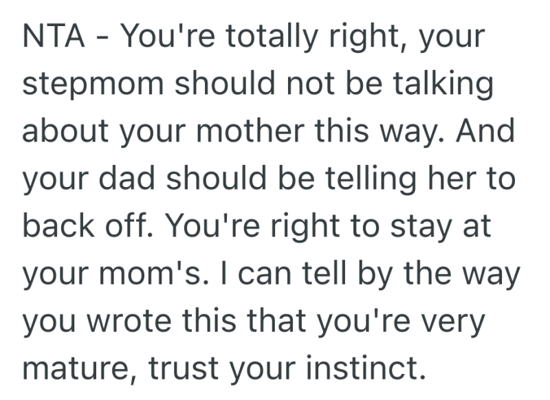 Screenshot 2025 02 28 at 9.04.25 PM e1740794733612 Stepmom Keeps Trashing Her Husband’s Ex, So His Son Threatens To Move Out And Now The Family’s A Mess