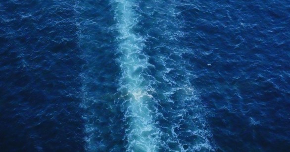 Source: Pexels/天玑 不器