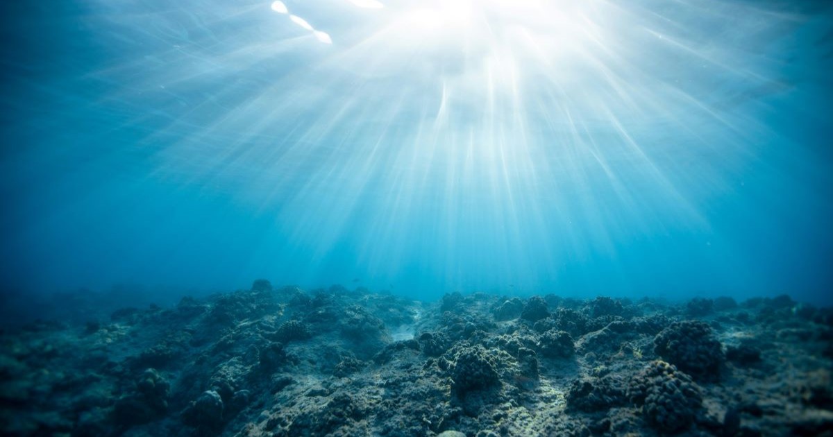 underwater shot of the sun shining into the camera