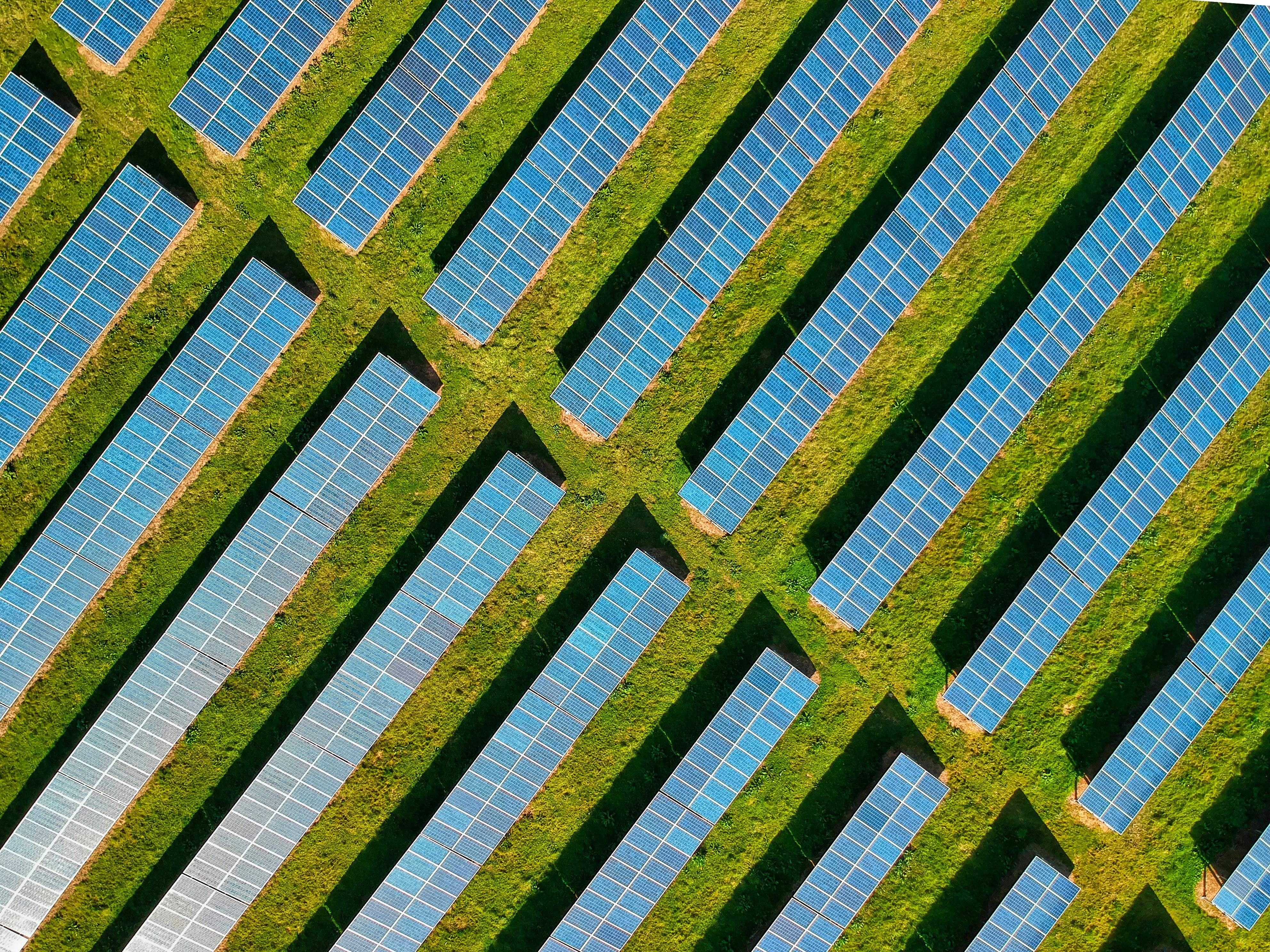 Overhead shot of a solar farm