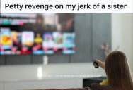 His Entitled Sister Is Being A Jerk To Everyone, So He Decided To Teach Her A Lesson By Messing Up Her TV Watching Experience