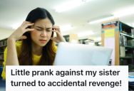 His Sister Would Borrow His Computer Without Logging Out From Her Account, So He Played A Little Prank On Her To Teach Her A Lesson