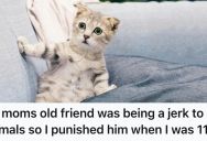 His Mom’s Friend Was Visiting And Being Mean To Their Pets, So He Made His Stay A Living Nightmare