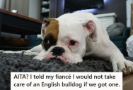 Her Fiancé Wants To Adopt A Bulldog, But She Has A Long List Of Reasons Why She Doesn’t Want To Adopt That Breed
