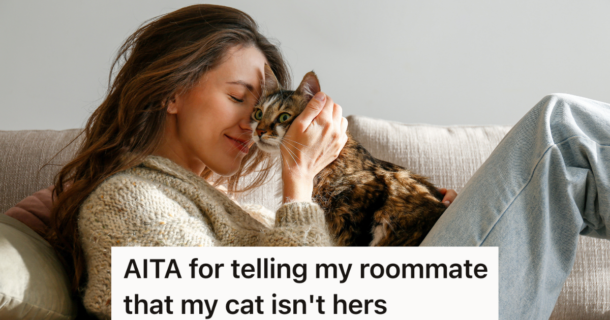 Cat Owner Is Okay With Her Roommates Hanging Out With Her Cat As Long