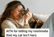 Cat Owner Is Okay With Her Roommates Hanging Out With Her Cat As Long As They Follow A Couple Simple Rules, But One Roommate Refuses To Do As She Asks