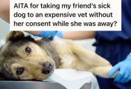 He Took The Dog He Was Dog Sitting To The Vet, But When The Dog Owner Saw The Vet Bill, She Was Furious