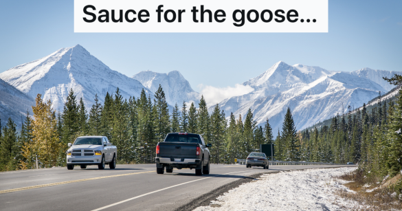 Source: Reddit/Petty Revenge/Shutterstock