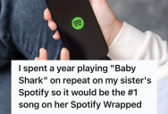 A Sibling Dispute Over Streaming Got Petty, So A Year Of Musical Revenge Made One Woman’s Spotify Wrapped Unsharable