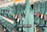 A Target Shopper Noticed Something Unusual While Shopping For Swimsuits At One Of The Stores. – ‘The dyslexic was in charge or ordering that day.’