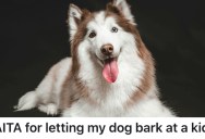 Owner’s Well-Behaved Dog Kept Barking At The Neighbor’s Kid, So They Came Up With Countless Solutions. The Problem? The Other Family Refused To Entertain Any Of The Suggestions.